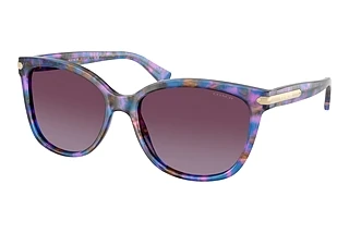 Coach HC8132 52888H Purple GradientPurple Confetti Tortoise