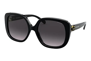 Coach HC8292 50028G Dark Grey GradientBlack