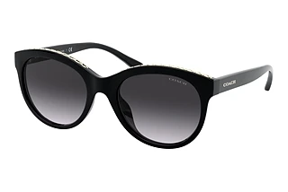 Coach L1149 HC 8297U 50028G