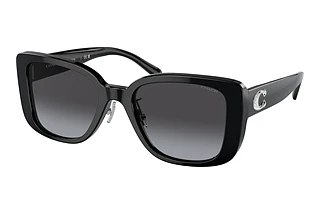 Coach HC8352 50028G Grey GradientBlack