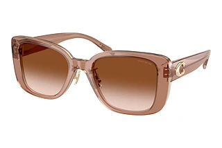 Coach HC8352 577913 Brown GradientBrown/Grey