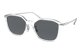 Coach HC8355 511181 Gray Solid PolarClear