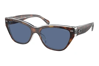 Coach HC8370U 574280 Blue SolidTortoise/Transparent Beige