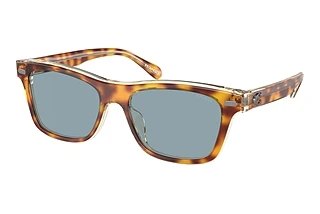 Coach HC8371U 575672 Light Blue SolidTortoise/Transparent Beige