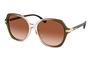 Coach HC8377U 540013 Brown GradientOlive Beige Gradient