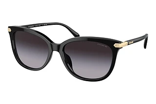 Coach HC8378U 50028G Grey GradientBlack