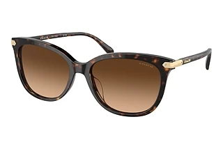 Coach HC8378U 512074 Brown GradientDark Tortoise