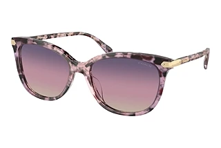 Coach HC8378U 5777U6 Purple GradientIris Tortoise