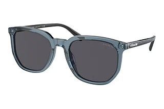 Coach HC8384U 579487 Blue SolidTransparent Blue