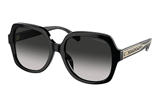 Coach HC8395U 50023C Grey GradientBlack