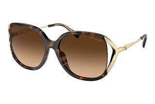 Coach HC8396U 512074 Brown GradientDark Tortoise