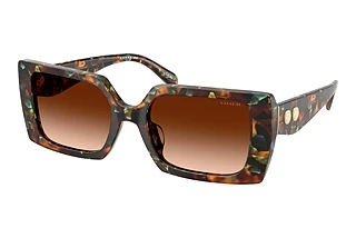 Coach HC8409U 584474 Brown GradientJade Pearl Tortoise