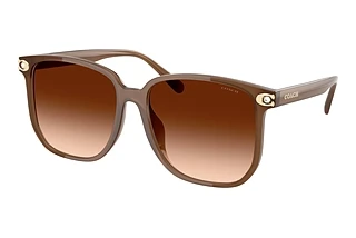 Coach HC8413BD 580874 Brown GradientMilky Brown
