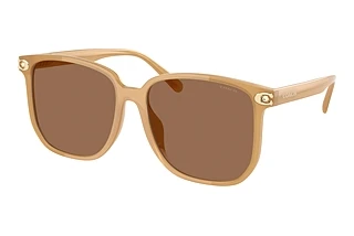 Coach HC8413BD 585473 Brown SolidMilky Tea