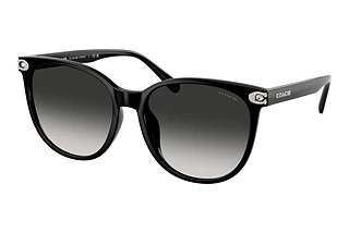 Coach HC8414BD 50023C Grey GradientBlack