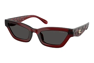 Coach CAD28 HC 8420U 587487