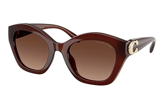 Coach HC8421U 5841T5 Brown Gradient PolarMilky Hazelnut