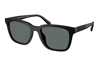 Coach HC8426U 500281 Grey Solid PolarMatte Black