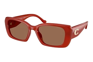 Coach HC8435U 591673 Brown SolidMilky Burnt Orange