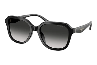 Coach HC8437U 50023C Grey GradientBlack