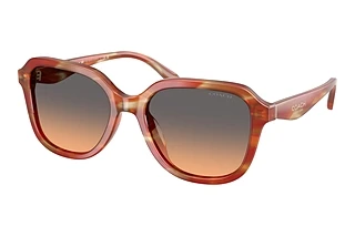 Coach HC8437U 590018 Smokey Peach GradientStriated Chestnut