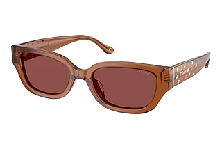 Coach HC8439U 581175 Wine SolidTransparent Brown