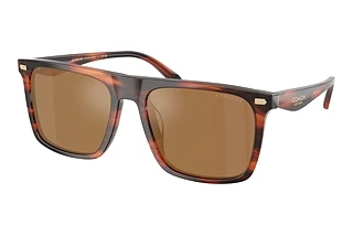 Coach HC8440U 5906/O Brown FlashStriated Caramel