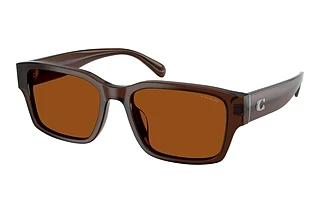 Coach HC8441U 591173 Brown SolidTransparent Brown
