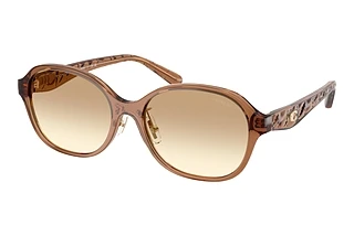 Coach HC8445D 565413 Clear BrownTransparent Brown