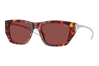Diesel DL2006 202375 Dark VioletHavana Red