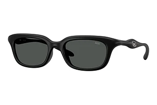 Diesel DL3013U 200287 Dark GreyMatte Black