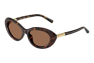 Dolce & Gabbana DG 4519 502/73