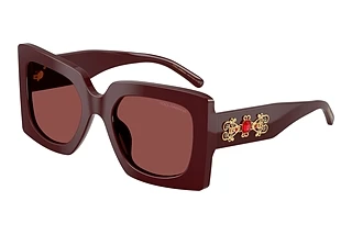 Dolce & Gabbana DG4525B 309175 Dark VioletBordeaux