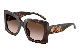 Dolce & Gabbana DG 4525B 502/13