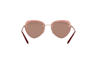 Πίσω όψη Emporio Armani EA2133 (30117J)