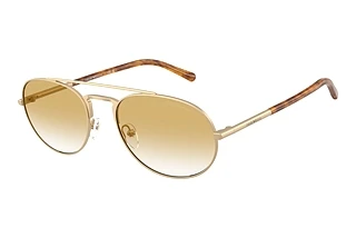 Emporio Armani EA 2171 30022Q