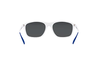 [glasses-back-view] Emporio Armani EA4179 (534455)