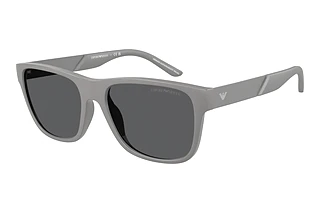 Emporio Armani EA4243 6245/1 Polar GreyMatte Grey