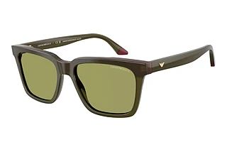 Emporio Armani EA4260 63162A GreenOpaline Green/Bordeaux