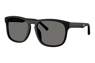 Ferrari Scuderia FZ6020U 701/81 Polar Dark GreyBlack Matte/Black