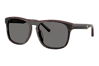 Ferrari Scuderia FZ6020U 742/81 Polar Dark GreyHavana/Red