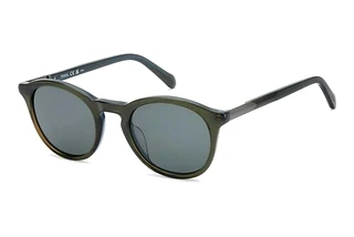 Fossil FOS 2161/S 3LG/QT GREENBRAUN