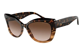 Giorgio Armani AR8161 592913 Gradient BrownHavana/Striped Brown