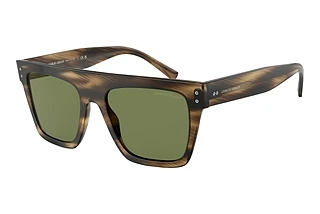 Giorgio Armani AR8177 54092A