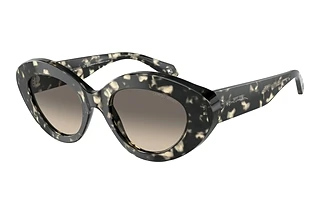 Giorgio Armani AR8188 587332 Clear Gradient GreyGrey Havana
