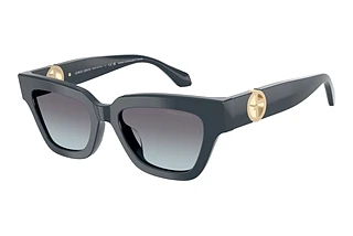 Giorgio Armani AR8246U 630919 Blue GradientDusty Blue