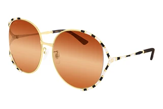 Gucci GG 0595S 007