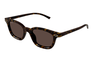 Gucci GG1946S 002 HAVANA