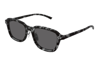 Gucci GG1948SK 002 HAVANA