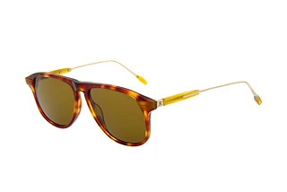 Hackett 801 337
